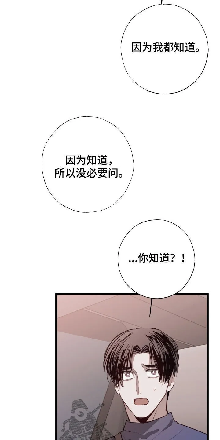 第41章：都解决了 第28页