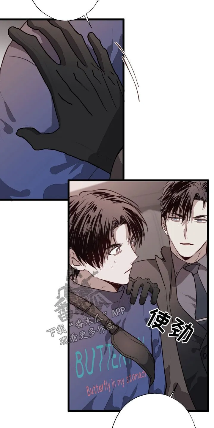 第41章：都解决了 第31页