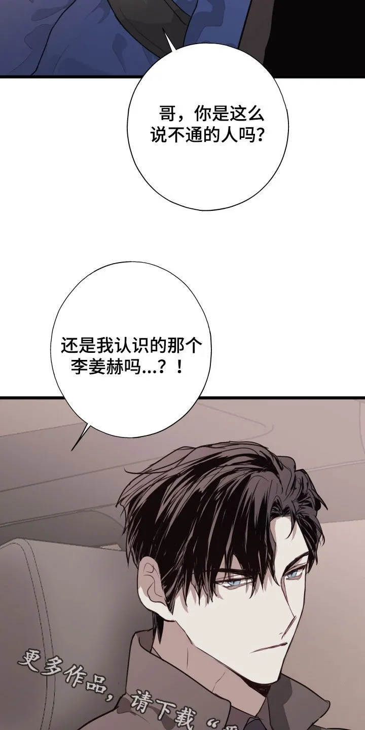 第41章：都解决了 第34页