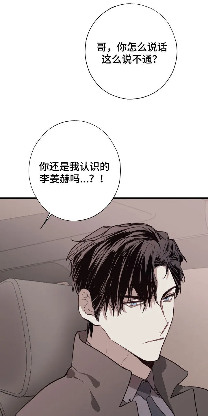 第41章：都解决了 第36页