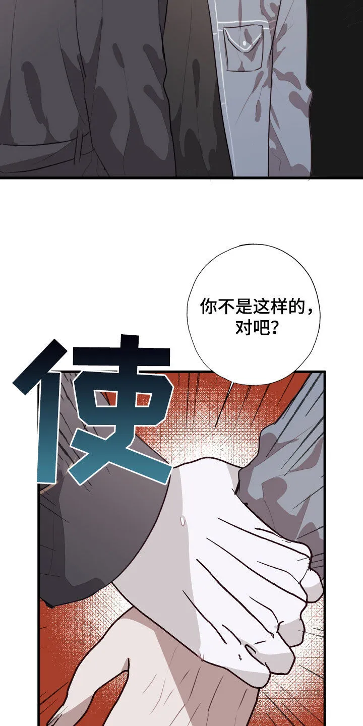 第45章：我愿意相信你 第17页