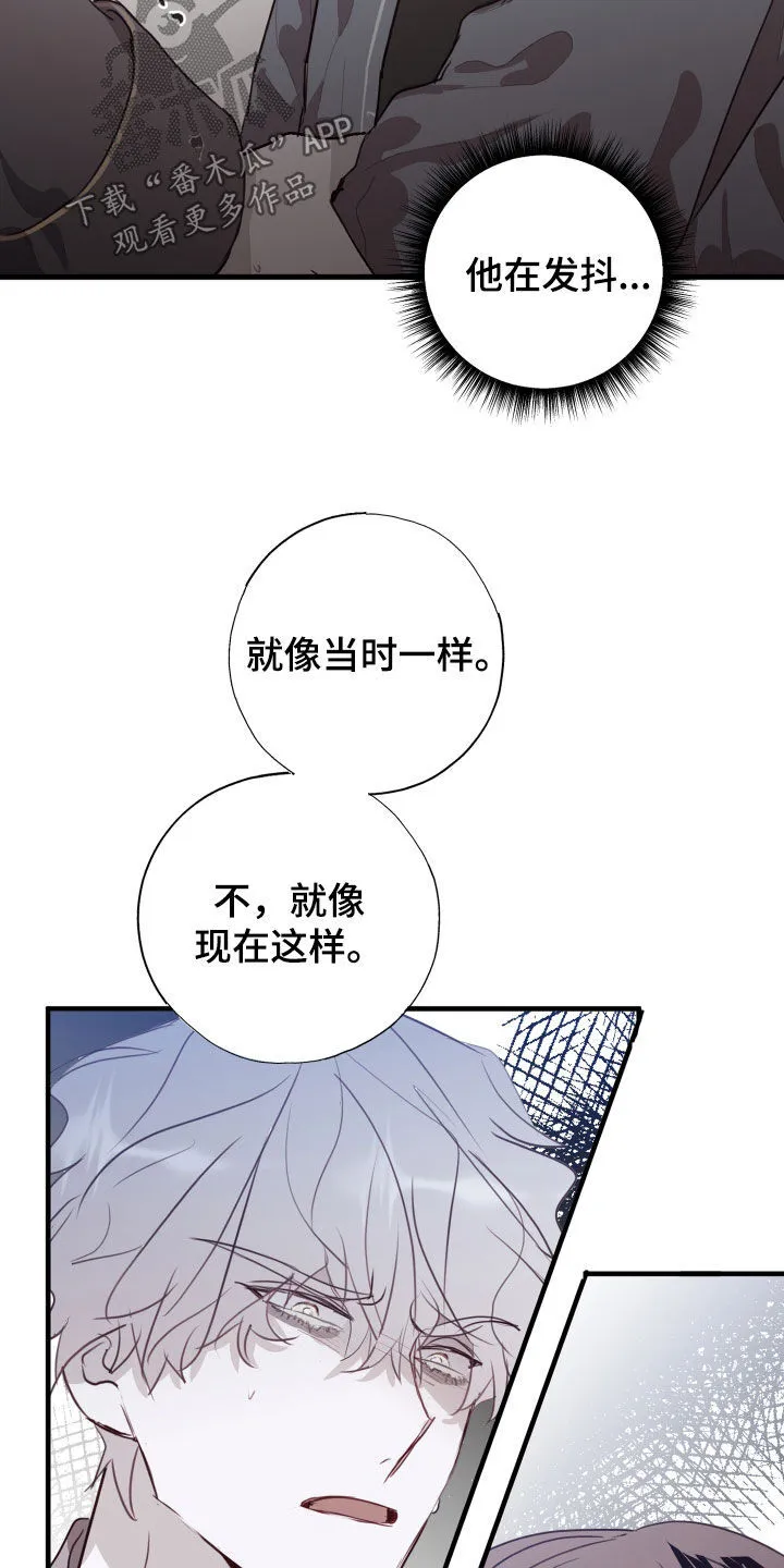 第45章：我愿意相信你 第19页