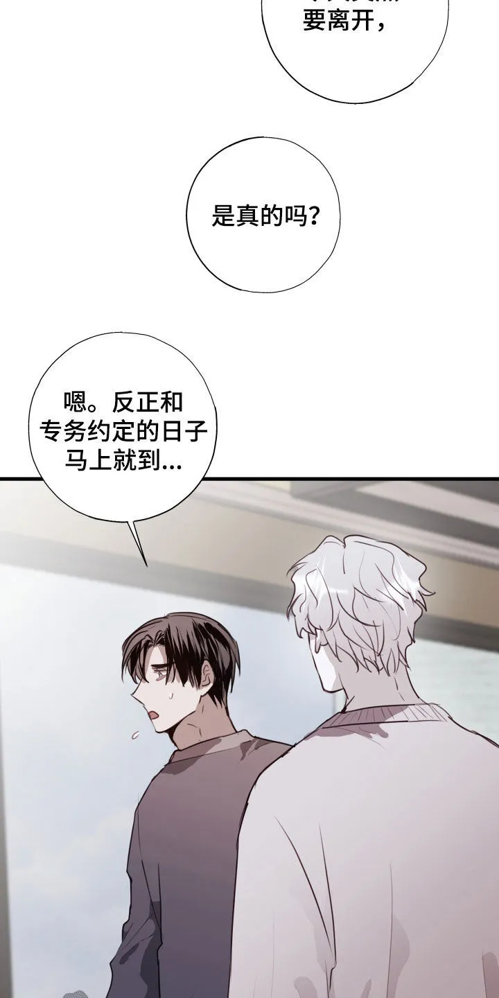 第53章：我错了 第3页