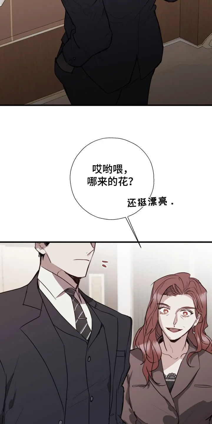 第60章：竞选 第7页