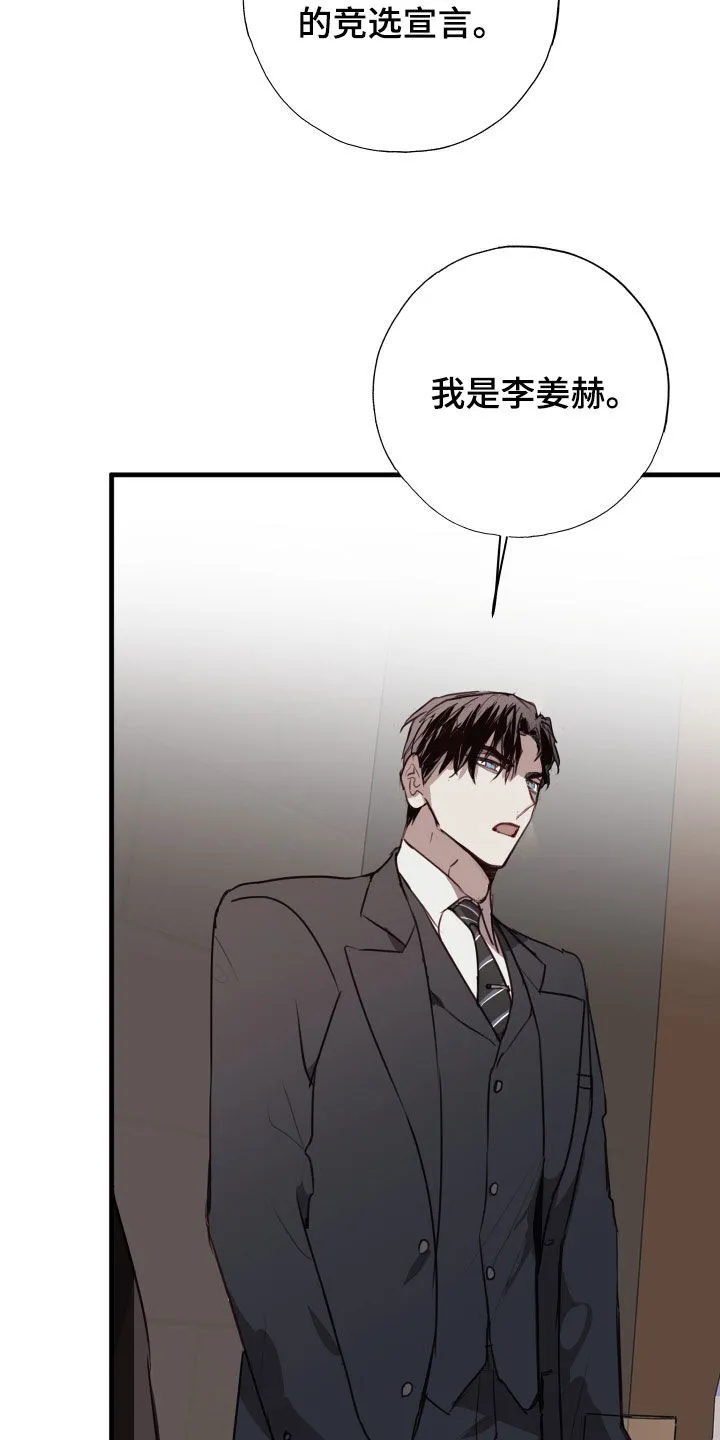 第60章：竞选 第19页
