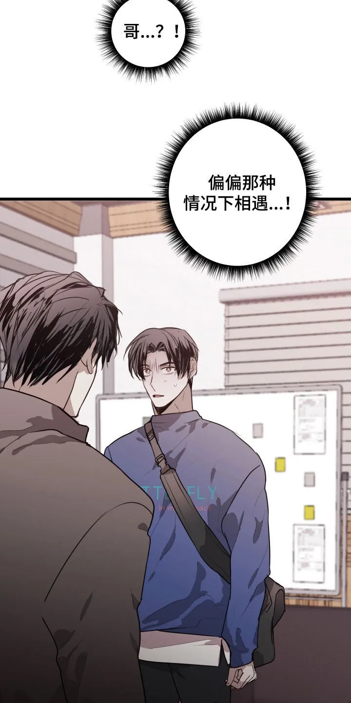 第40章：收拾残局 第14页