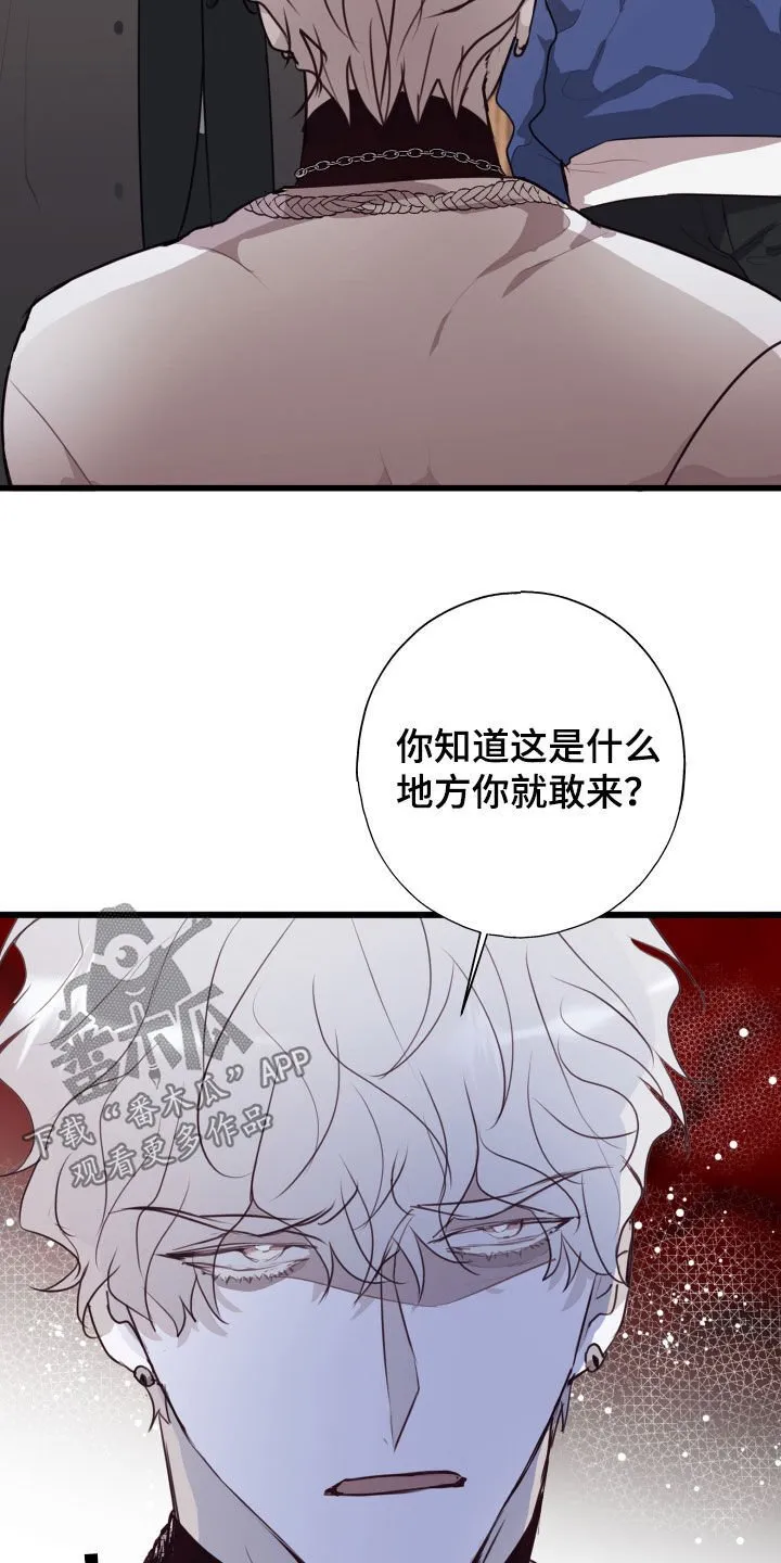 第40章：收拾残局 第16页