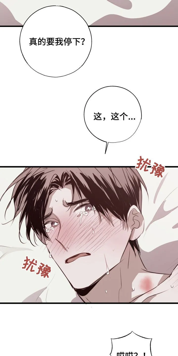 第63章：被爱着（第一季完结） 第19页