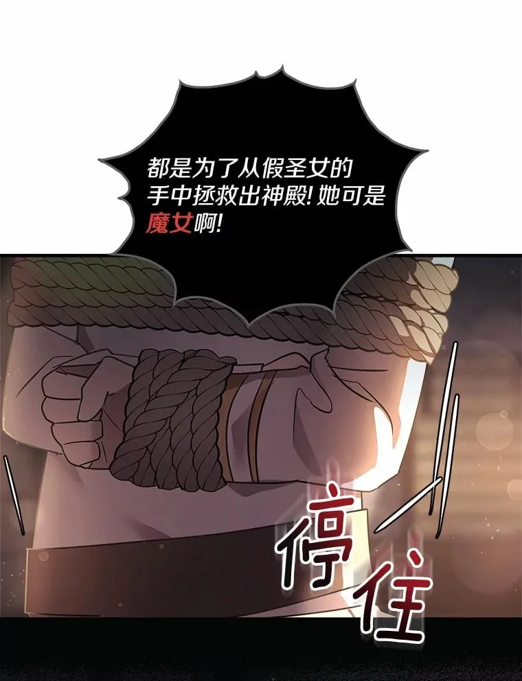 16.抓住真凶 第13页