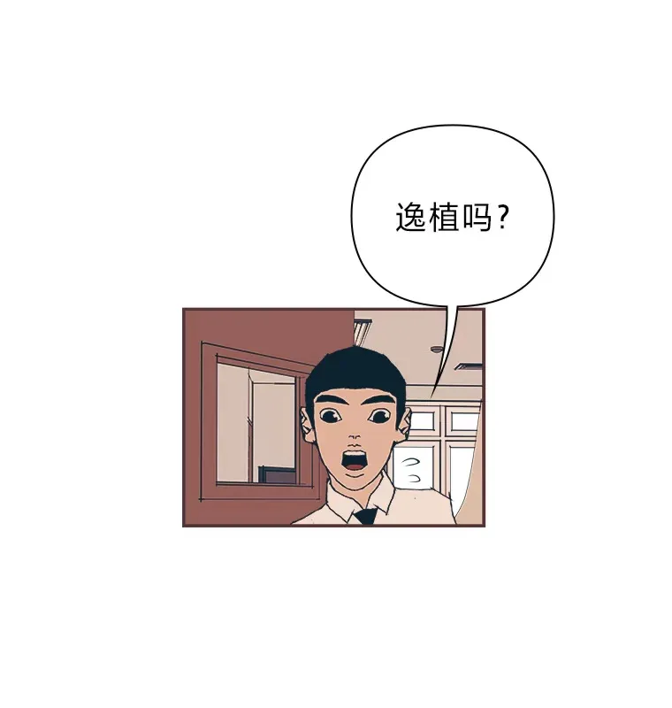 12.不胫而走 第116页