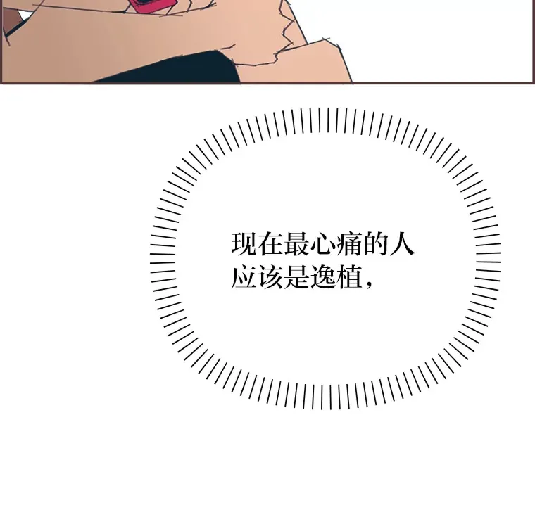 14.“我不喜欢” 第37页