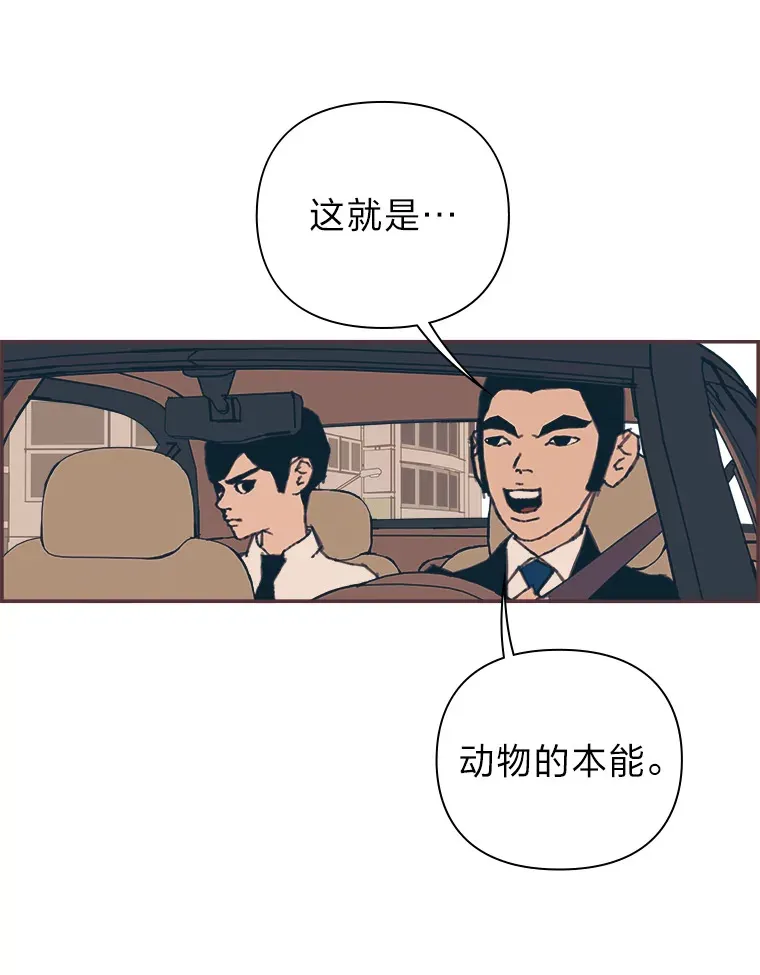 16.如何选择 第45页