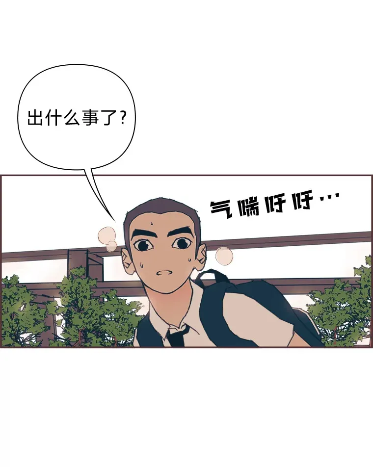 16.如何选择 第54页