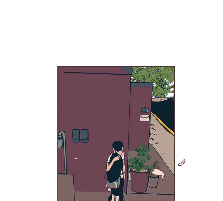 25.花瓣飞舞的青春 第13页