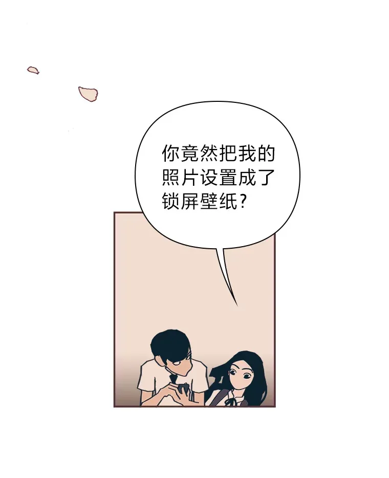 25.花瓣飞舞的青春 第43页