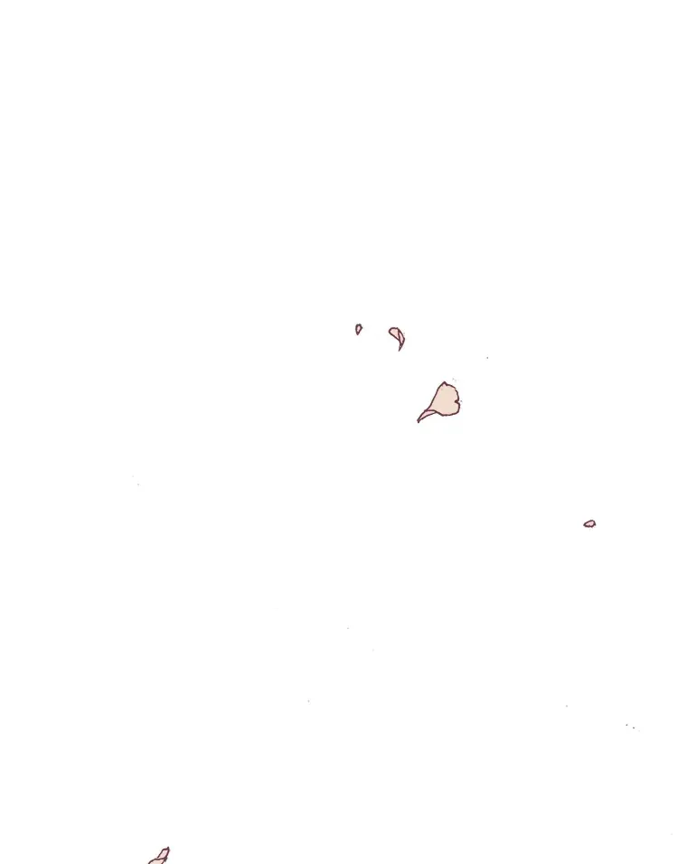 33.最大惩罚 第30页