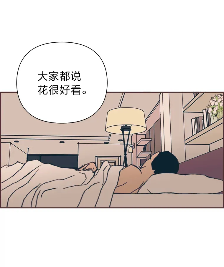 41.各自的现状 第48页