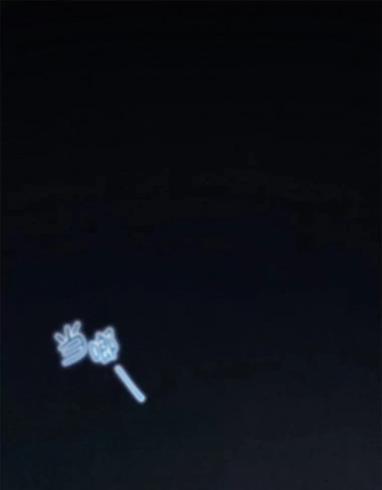 1.被欺负的小女仆 第1页
