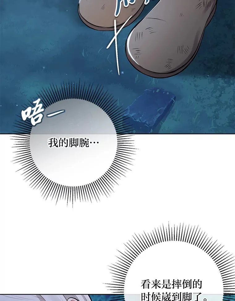 3.母亲的过去 第27页