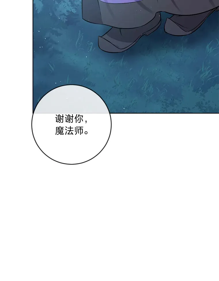 3.母亲的过去 第51页