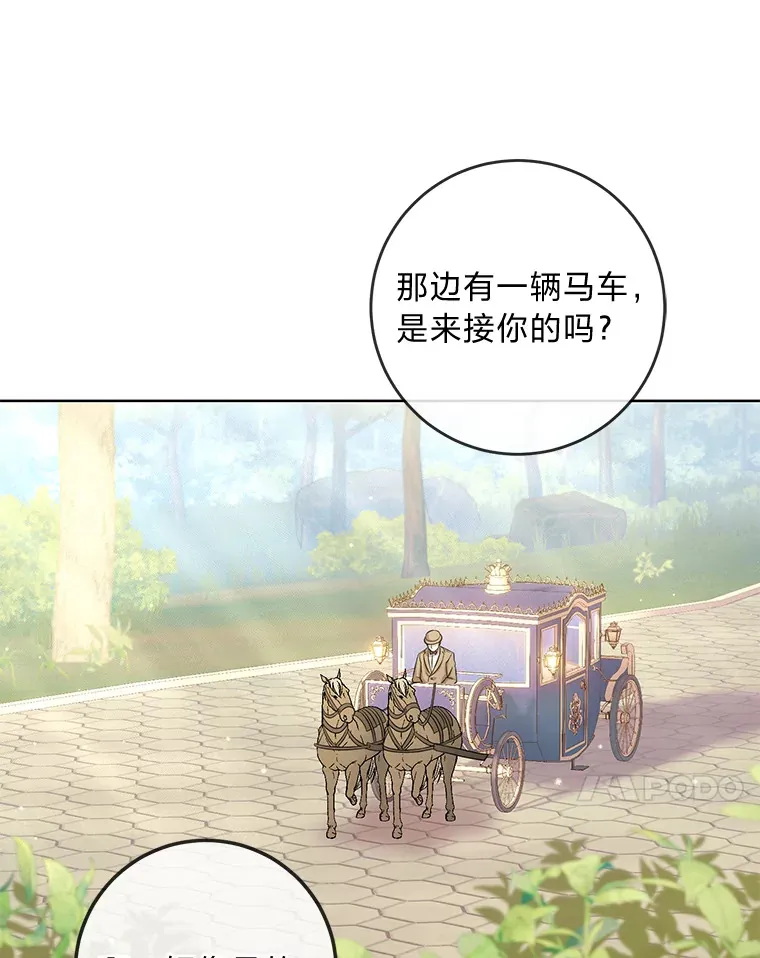 5.重见却是永别 第11页