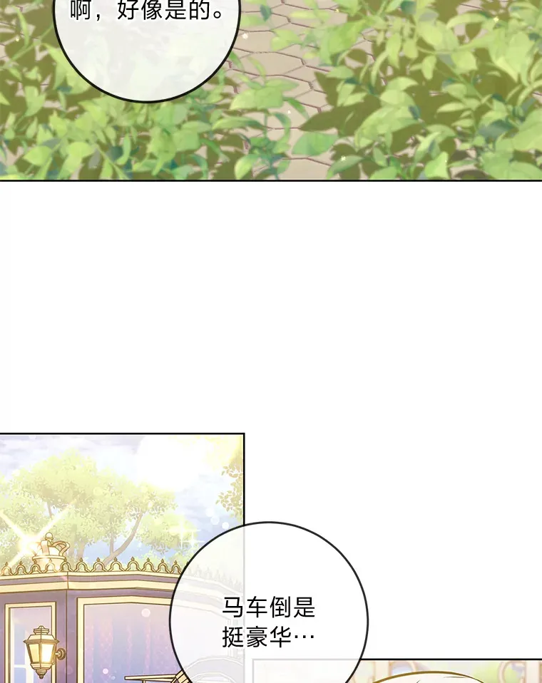 5.重见却是永别 第12页