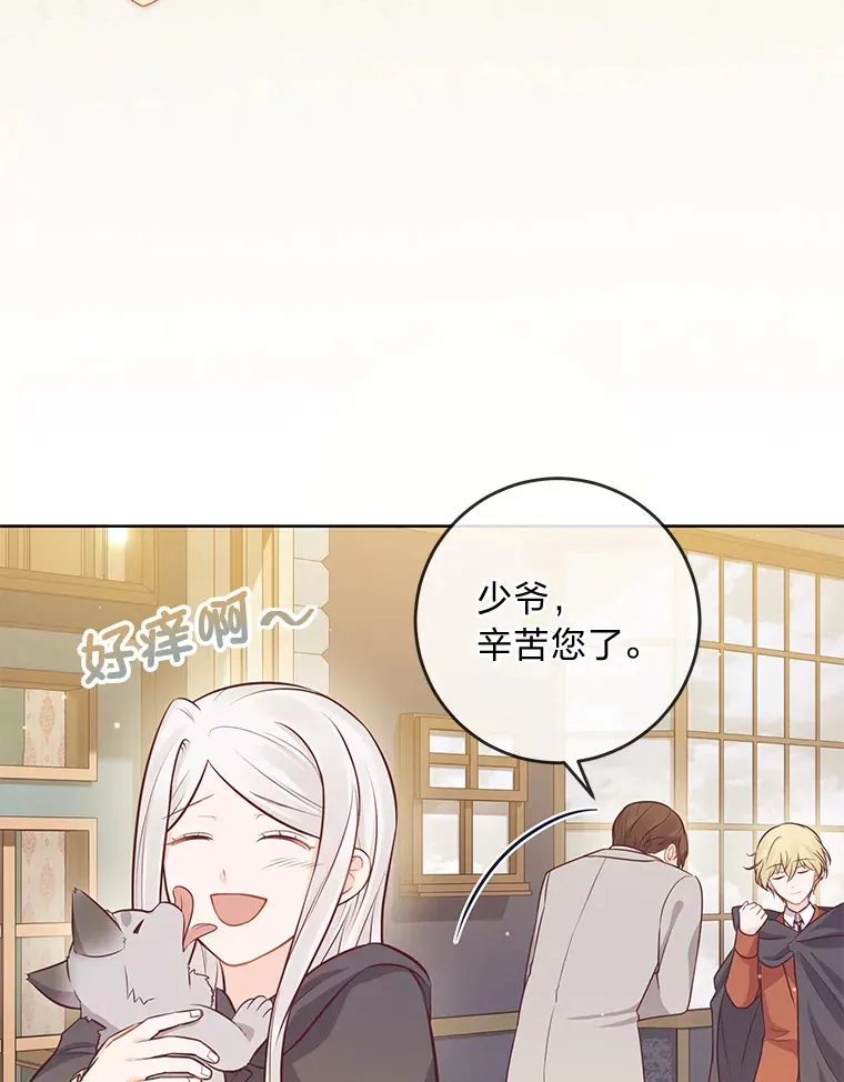 17.欢迎回家大小姐 第3页