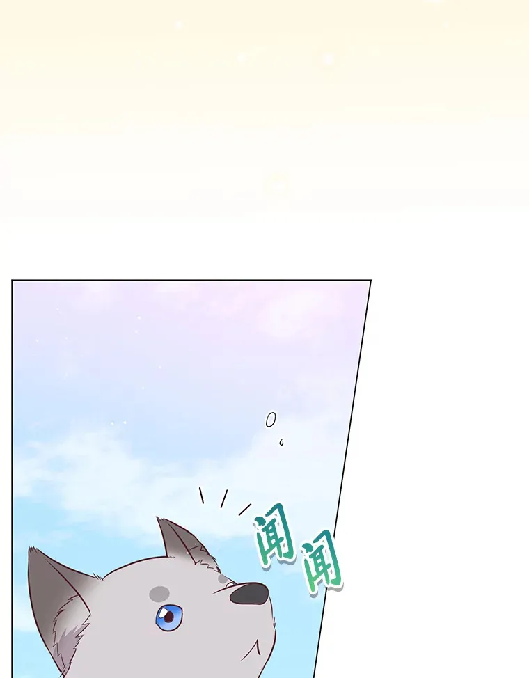19.太受宠的困扰 第48页