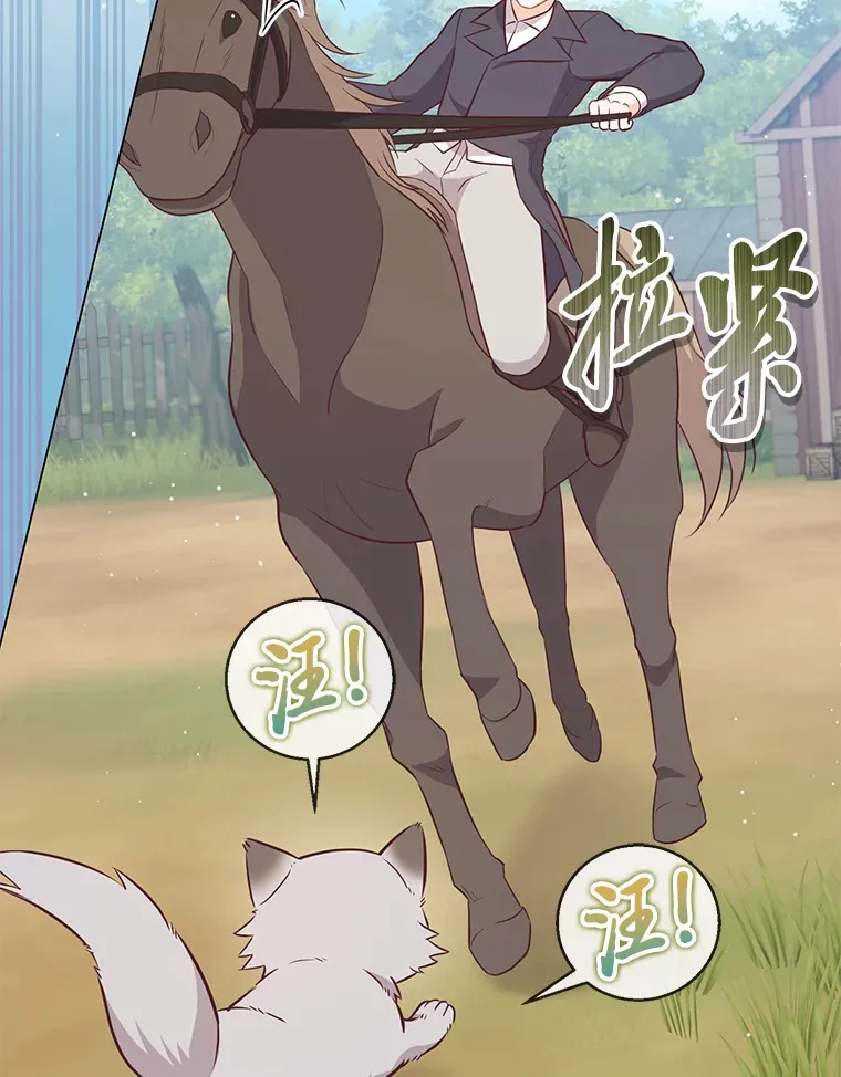 19.太受宠的困扰 第52页