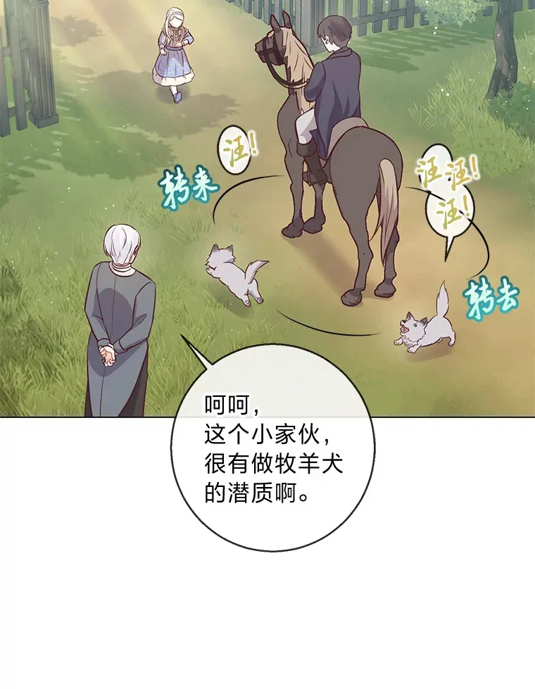 19.太受宠的困扰 第54页