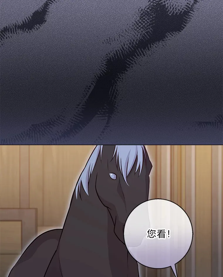 19.太受宠的困扰 第103页