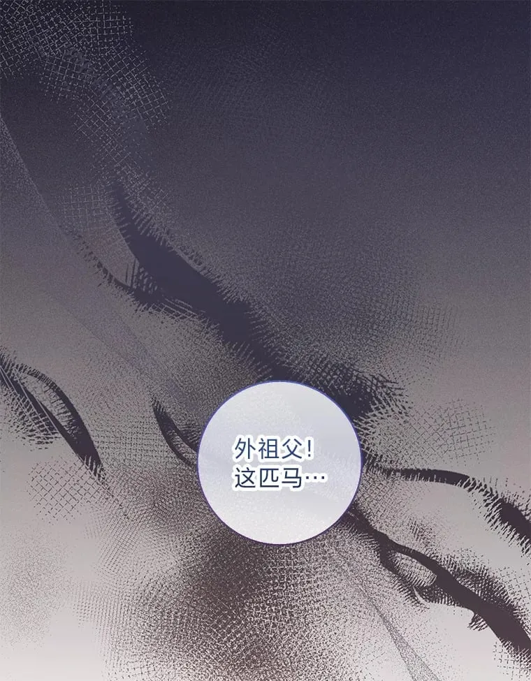 20.暴躁的蓝鬃马 第1页