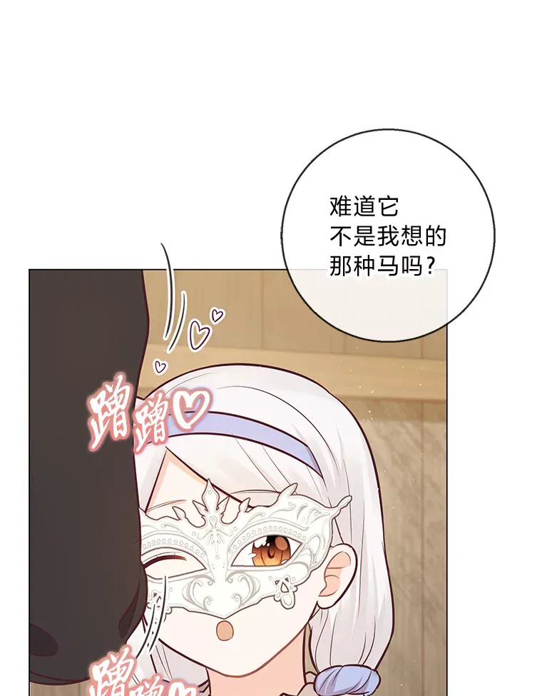 20.暴躁的蓝鬃马 第5页