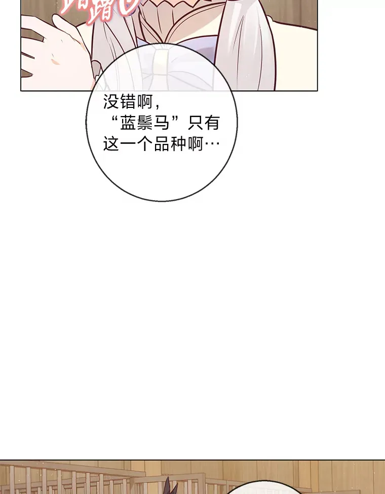 20.暴躁的蓝鬃马 第6页