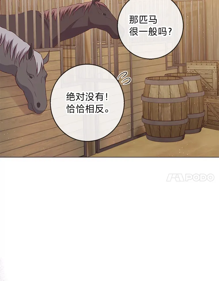 20.暴躁的蓝鬃马 第7页