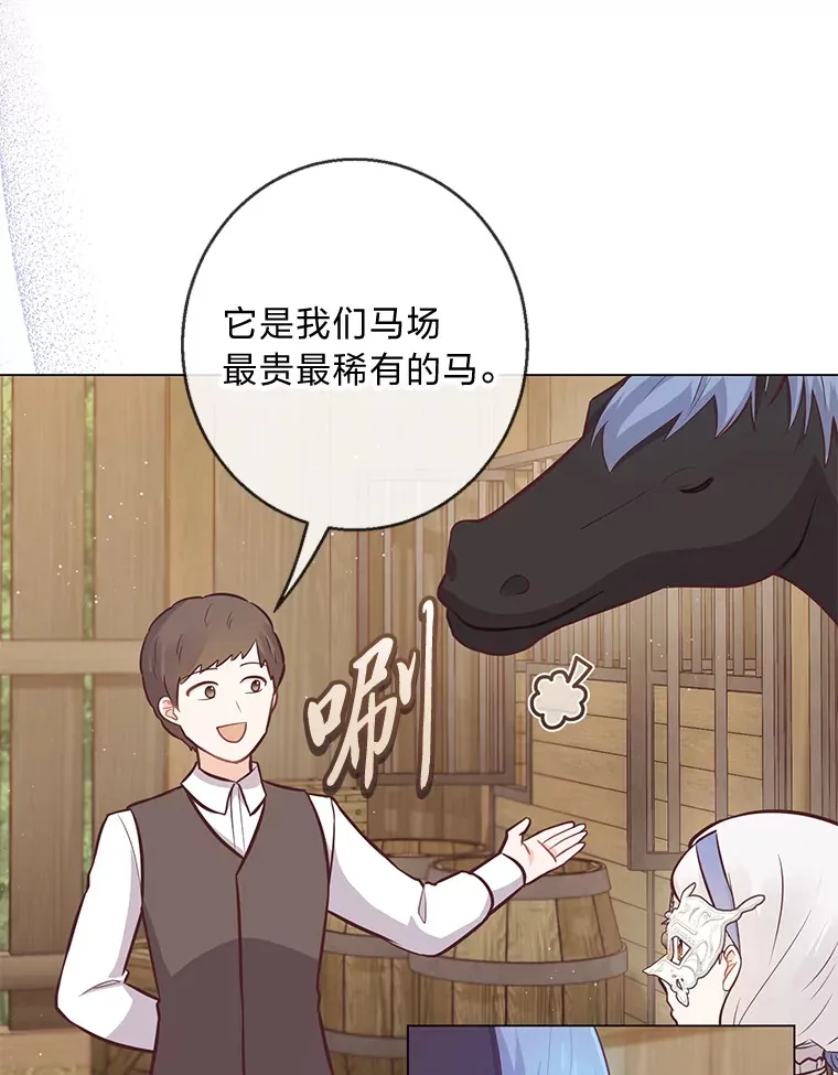 20.暴躁的蓝鬃马 第8页