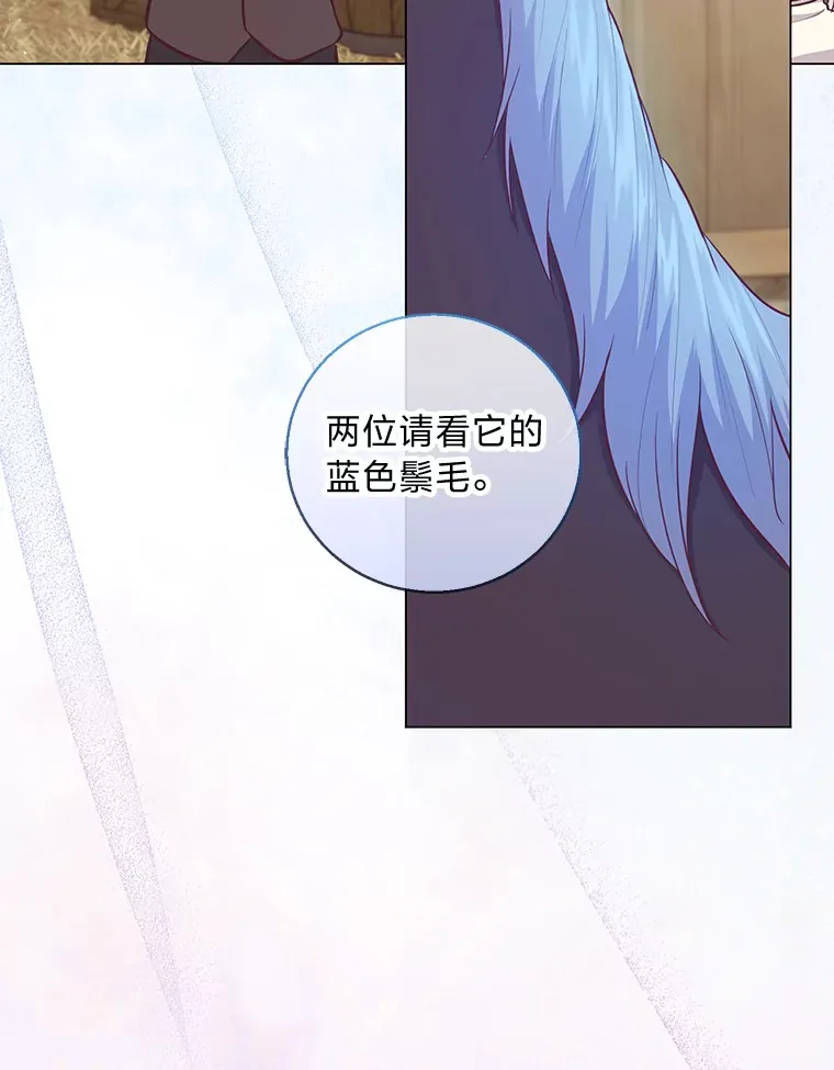 20.暴躁的蓝鬃马 第9页