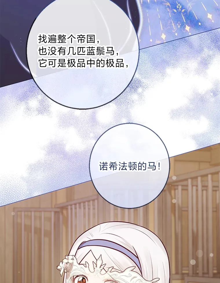 20.暴躁的蓝鬃马 第11页
