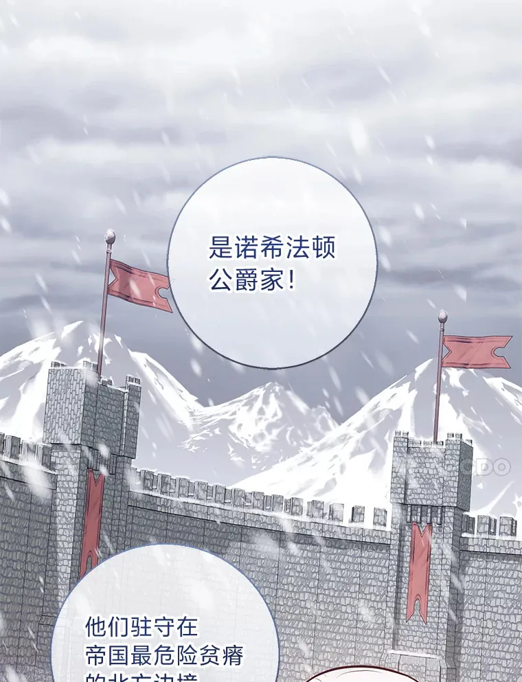 20.暴躁的蓝鬃马 第21页