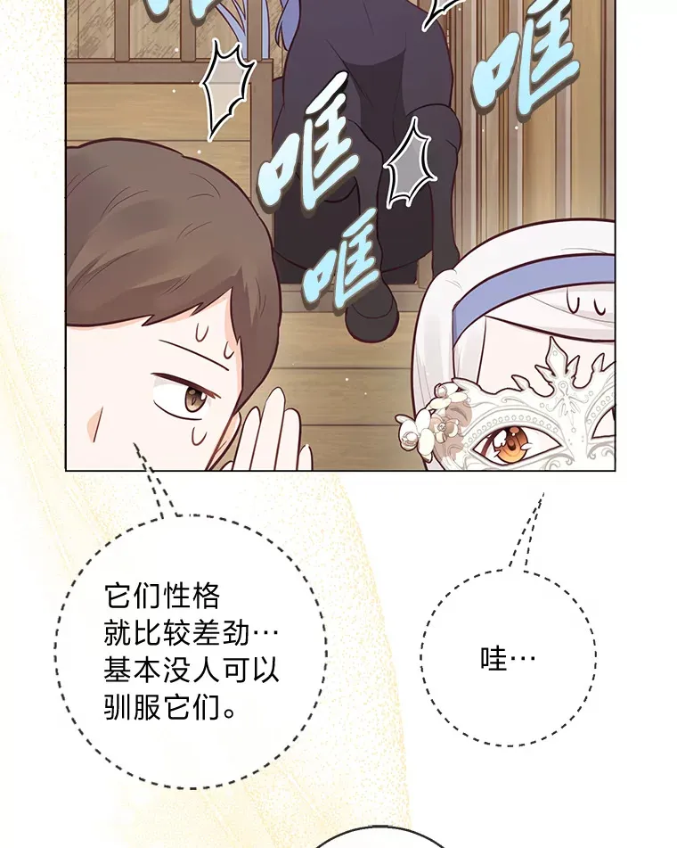 20.暴躁的蓝鬃马 第36页