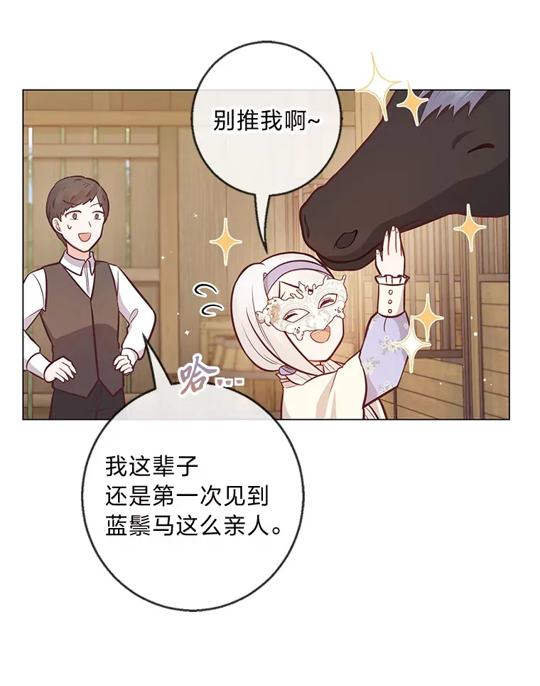 20.暴躁的蓝鬃马 第40页