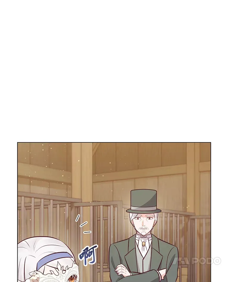 20.暴躁的蓝鬃马 第41页