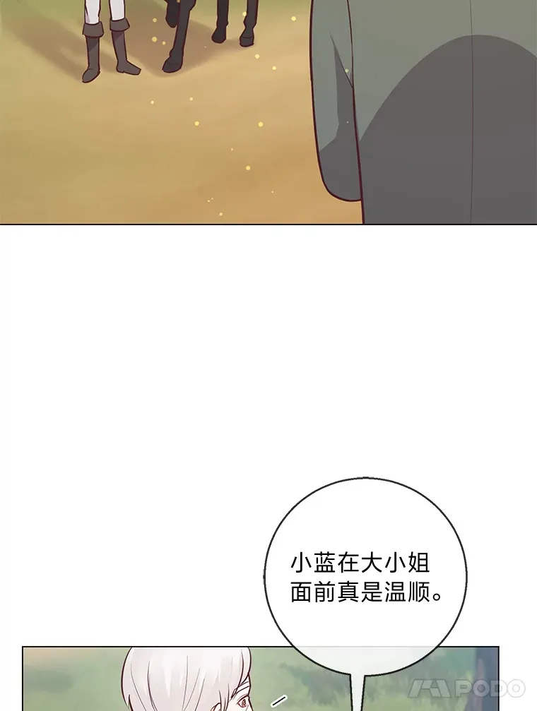 20.暴躁的蓝鬃马 第61页