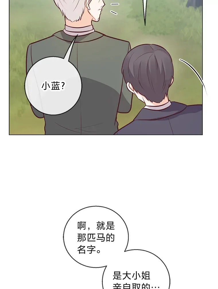 20.暴躁的蓝鬃马 第62页