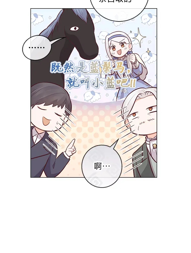 20.暴躁的蓝鬃马 第63页