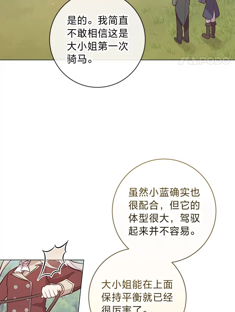 20.暴躁的蓝鬃马 第65页