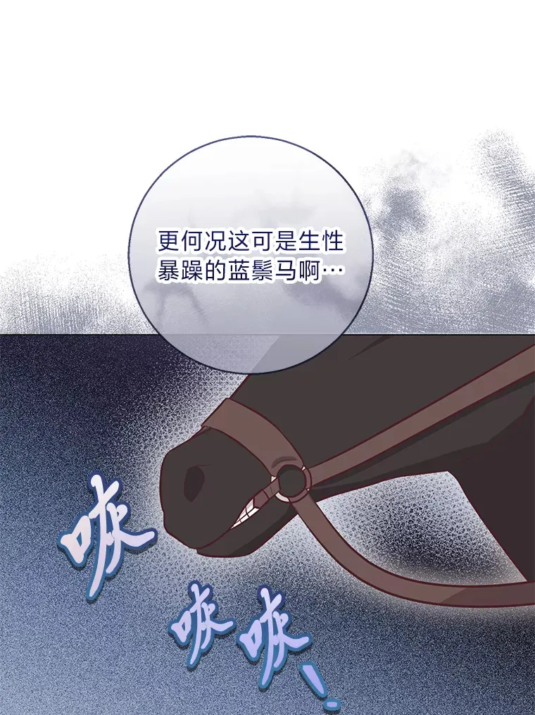 20.暴躁的蓝鬃马 第67页