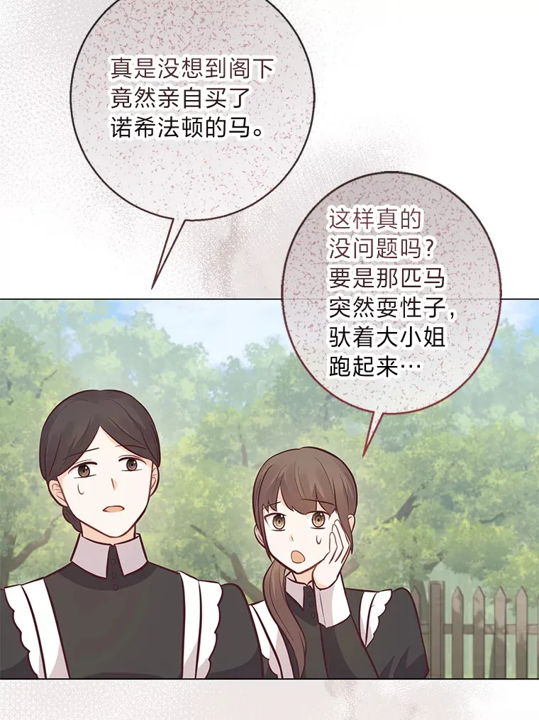 20.暴躁的蓝鬃马 第72页