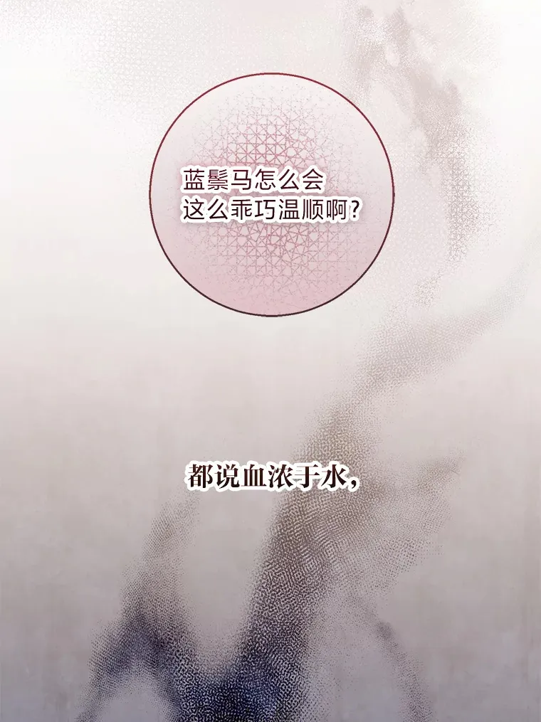 20.暴躁的蓝鬃马 第73页
