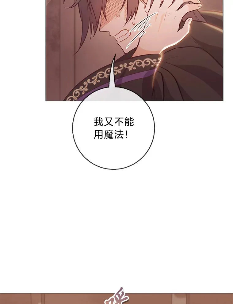 20.暴躁的蓝鬃马 第90页